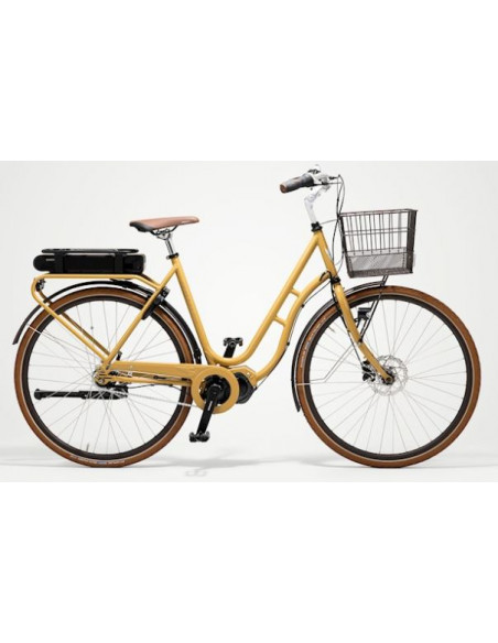 Skeppshult Natur Colour EL Dam 7-vxl Lejon 54cm