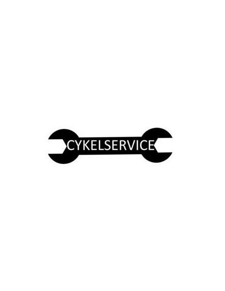 Service av lådcykel