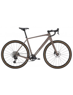 Trek Checkpoint ALR 5