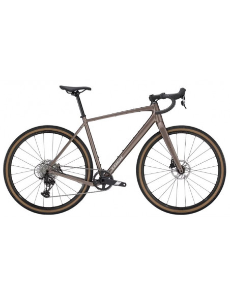 Trek Checkpoint ALR 5