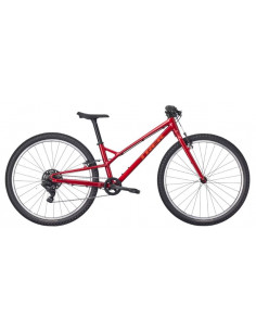 Trek Wahoo 26 Path Fury Red